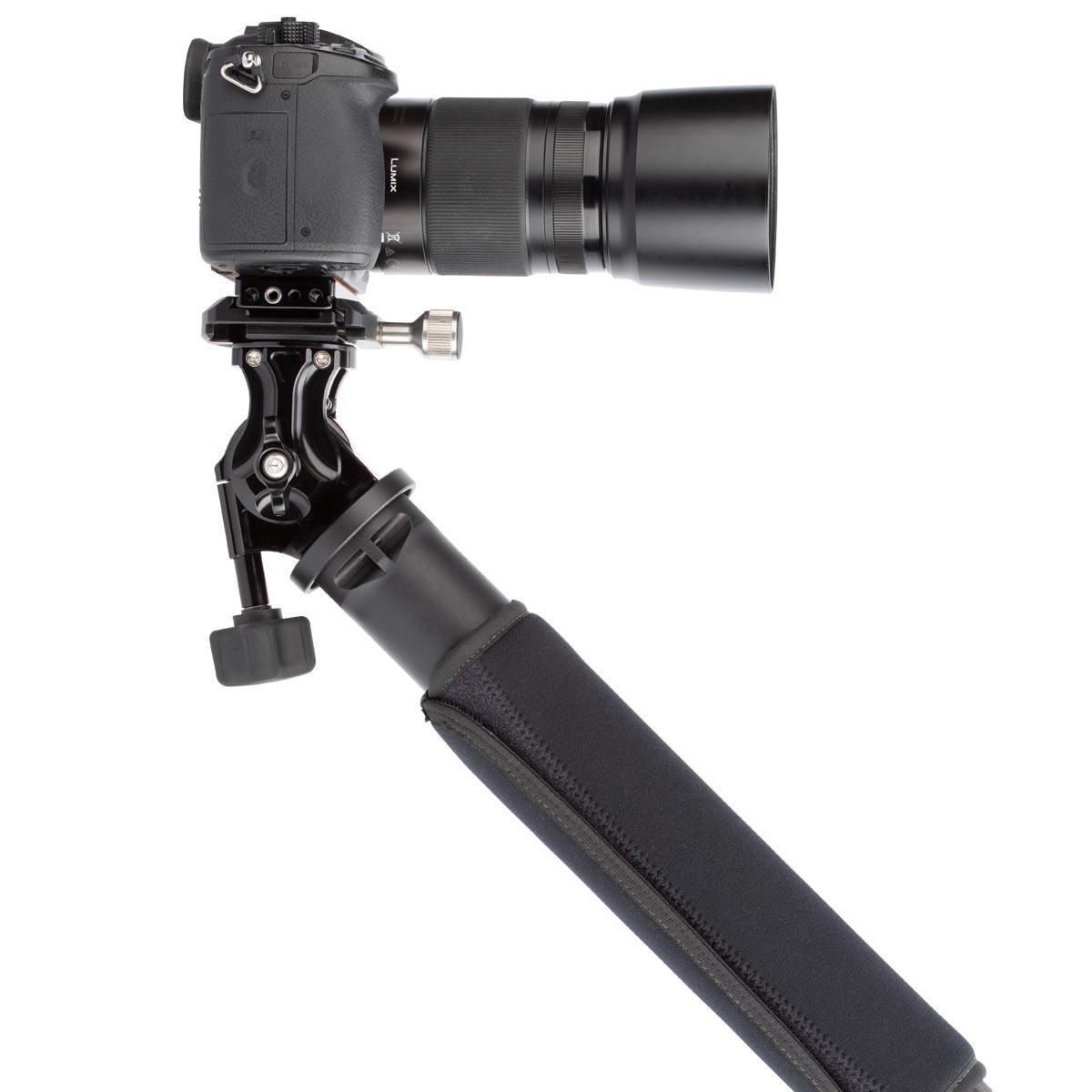 Mounted to PMG Monopod