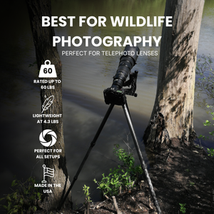 TR344L Carbon Fiber Tripod | 4 sections 71" height