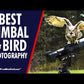 GK Katana Professional Gimbal Tripod Head